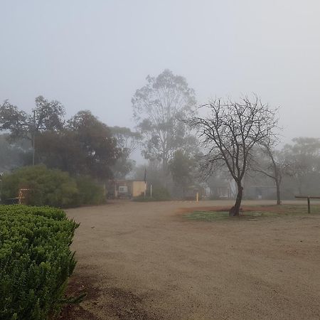 Bed and Breakfast Pecan Hill Bnb Toodyay Exterior foto