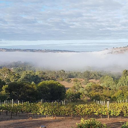 Bed and Breakfast Pecan Hill Bnb Toodyay Exterior foto