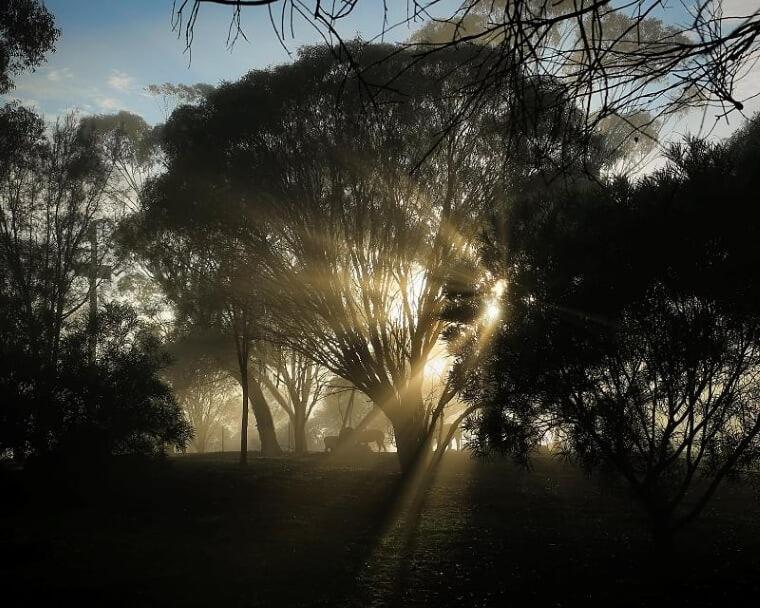 Bed and Breakfast Pecan Hill Bnb Toodyay Exterior foto