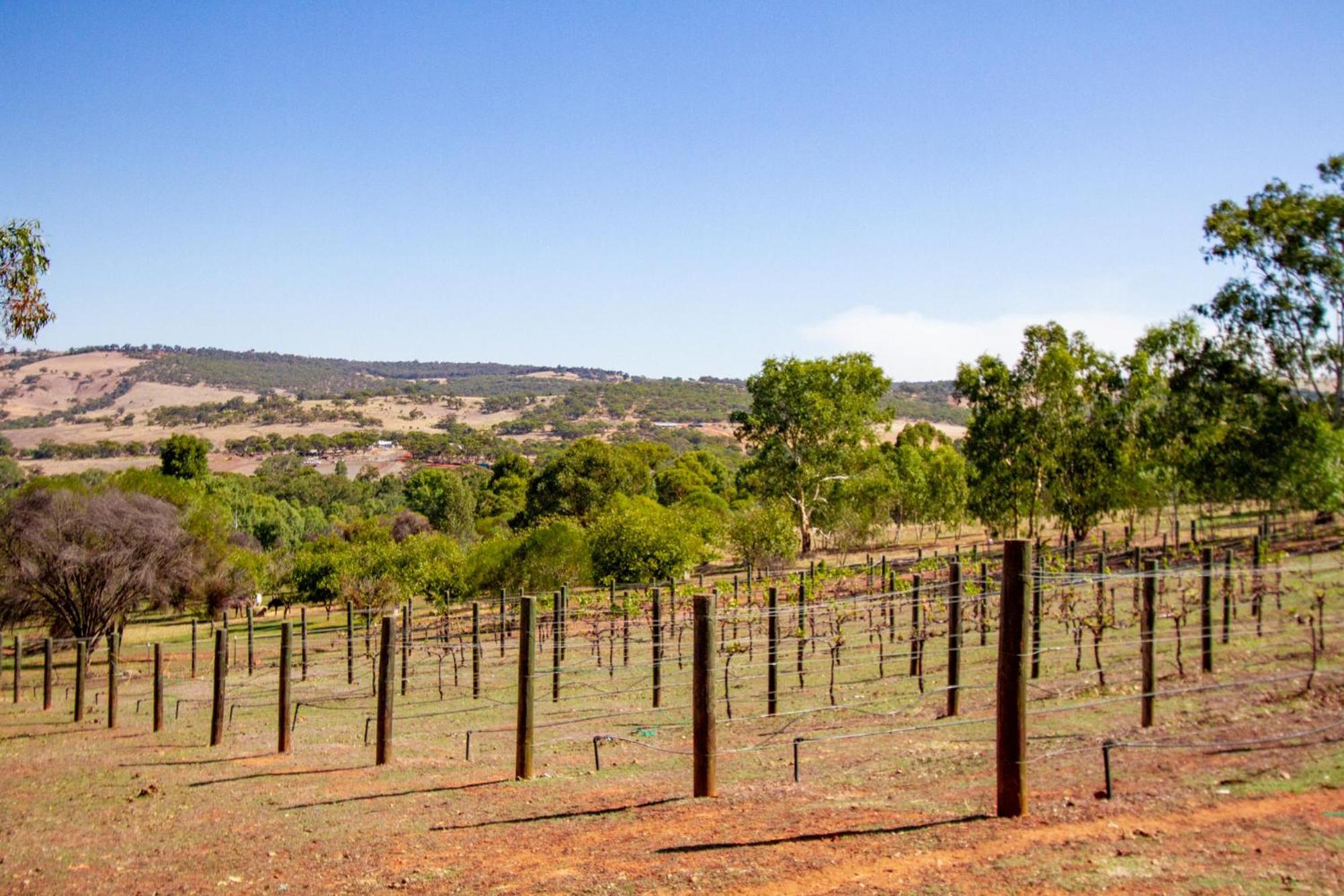 Bed and Breakfast Pecan Hill Bnb Toodyay Exterior foto