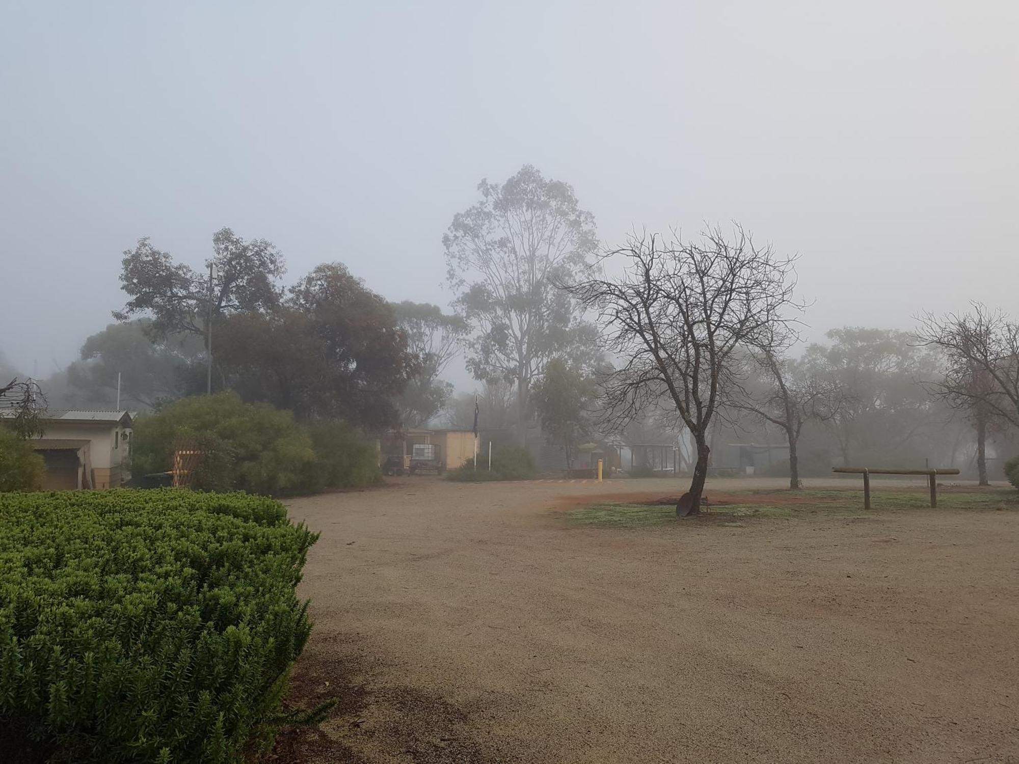 Bed and Breakfast Pecan Hill Bnb Toodyay Exterior foto