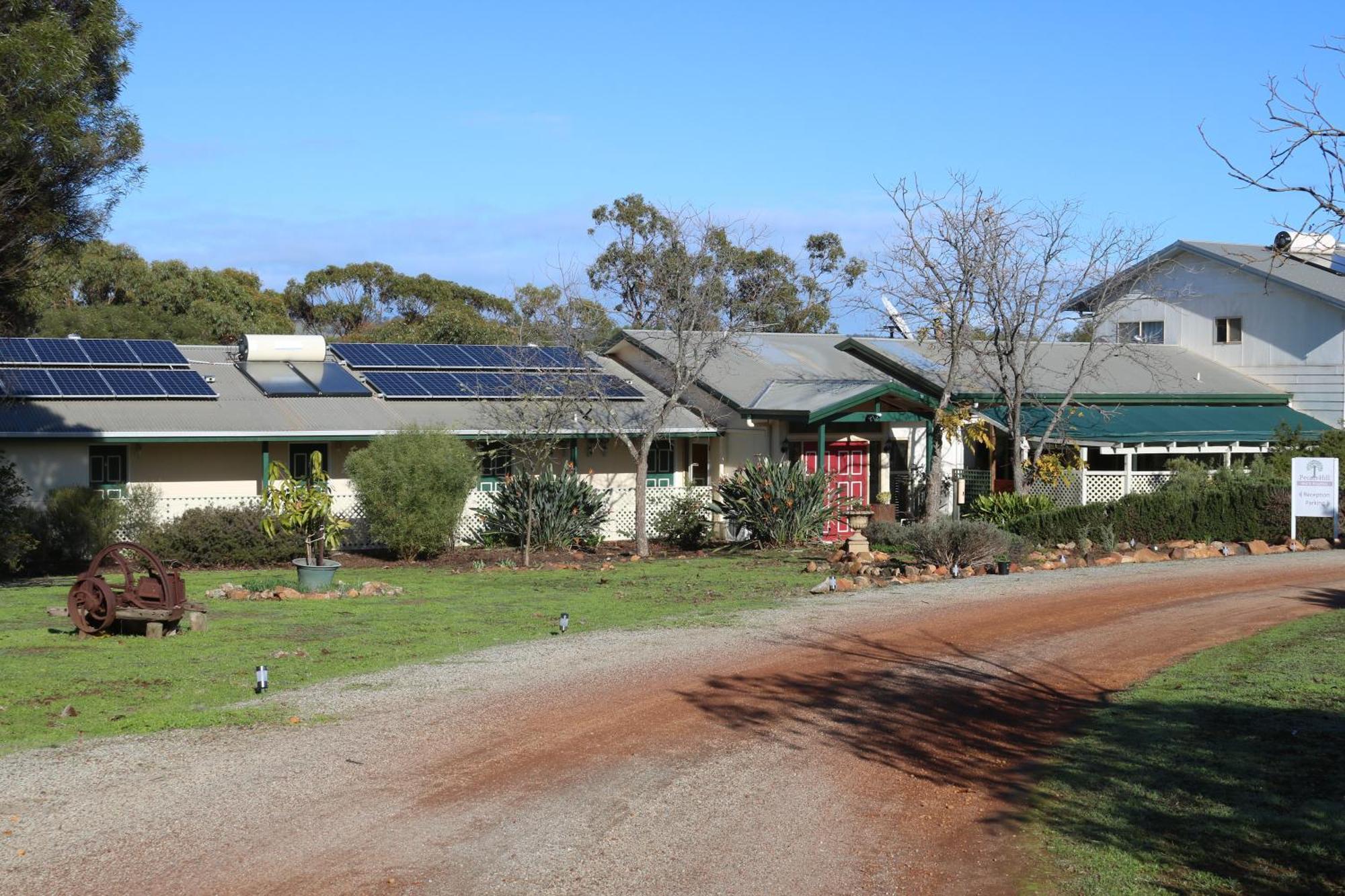 Bed and Breakfast Pecan Hill Bnb Toodyay Exterior foto