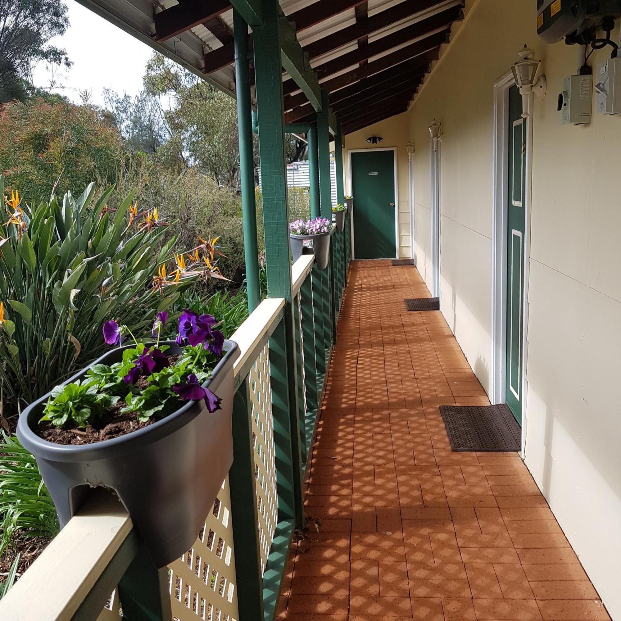 Bed and Breakfast Pecan Hill Bnb Toodyay Exterior foto