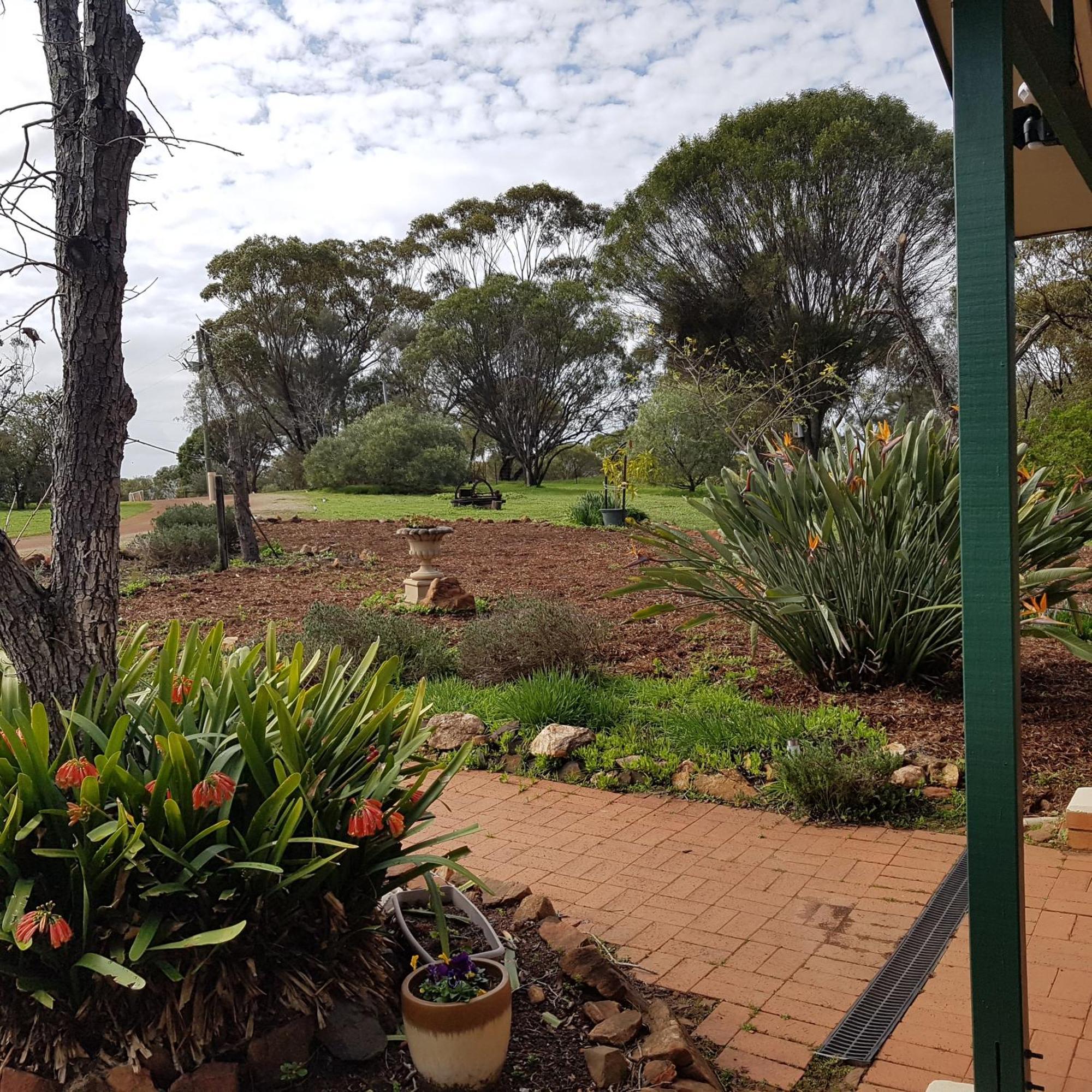 Pecan Hill Bnb Toodyay Exterior foto