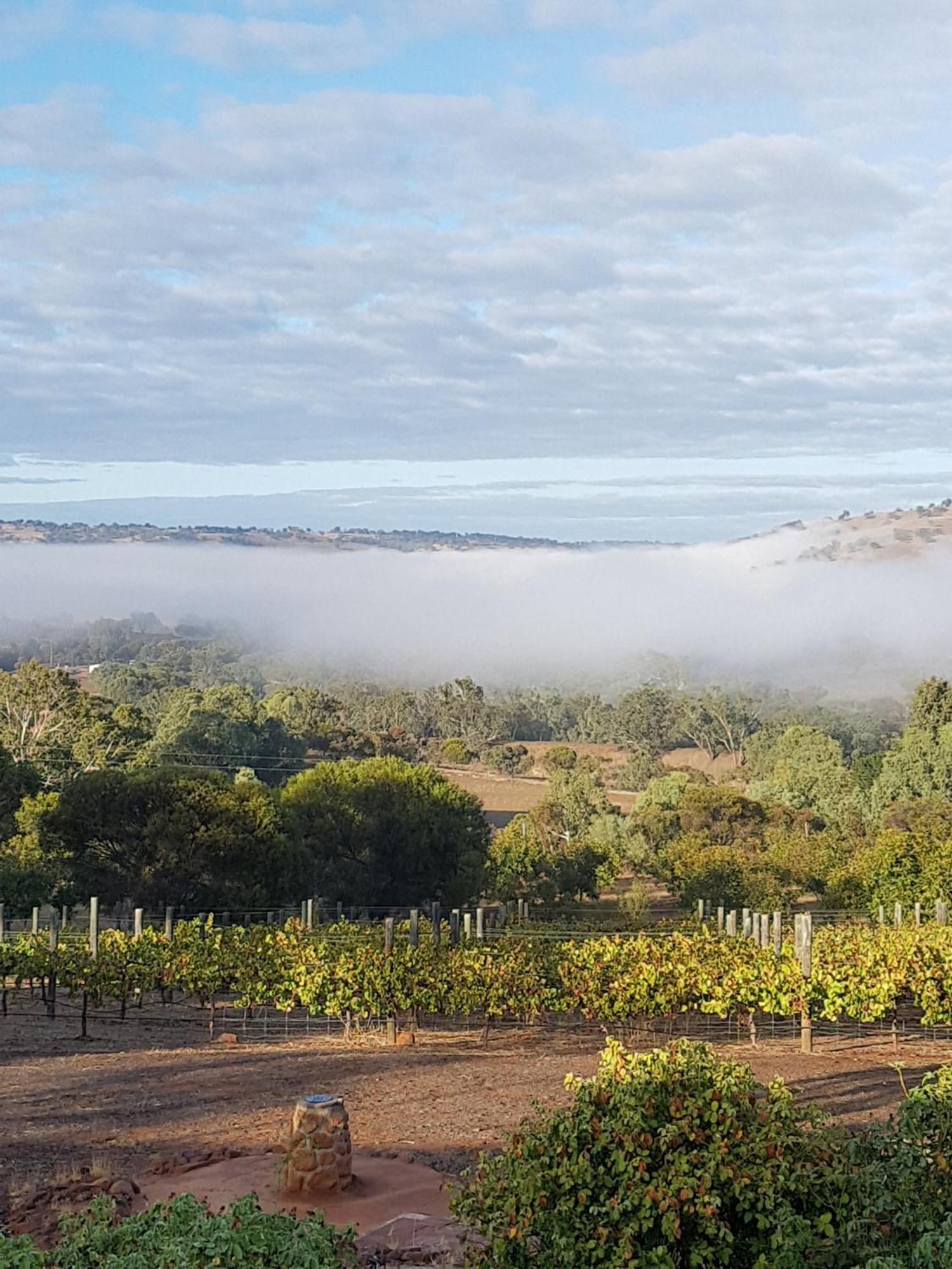 Bed and Breakfast Pecan Hill Bnb Toodyay Exterior foto